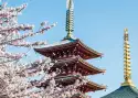 Japonia - w krainie gejsz i samurajów_2