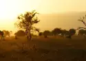 Kenia, Tanzania i Zanzibar - safari z wypoczynkiem_1