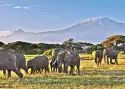 Kenia, Tanzania i Zanzibar - safari z wypoczynkiem_12